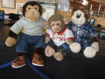 Helen and Mick always bring a friend along, usually monkeys. On the left Rolo meets Jimby for the 2nd year whilst Juno visits for the 1st time